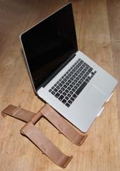 laptop with tree-pod